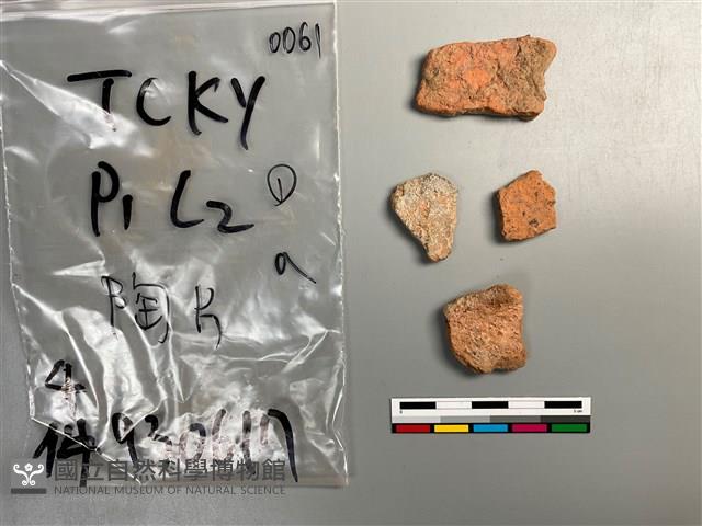 陶片藏品圖，第2張