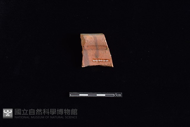 硬陶片藏品圖，第2張