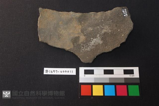 陶片藏品圖，第2張
