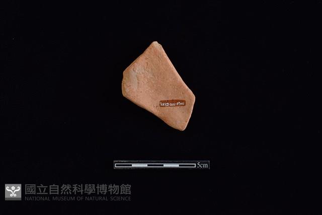 陶片藏品圖，第2張