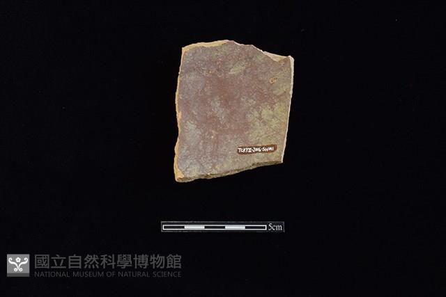 硬陶片藏品圖，第2張