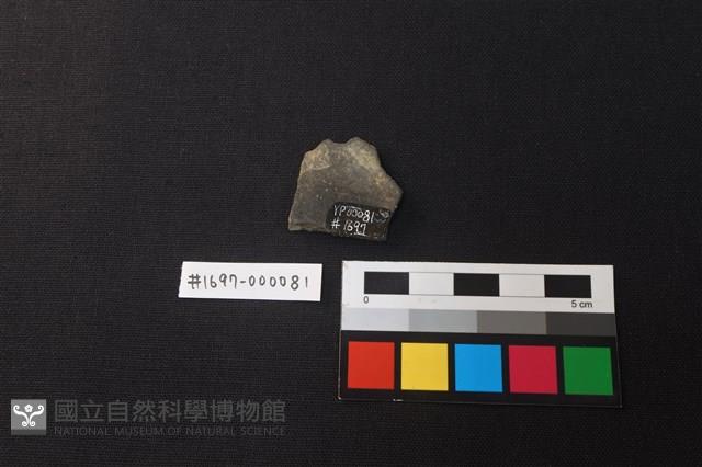 陶片藏品圖，第2張