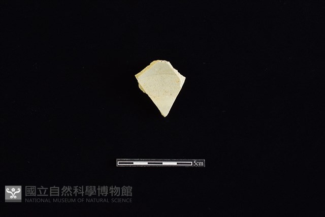盤藏品圖，第2張