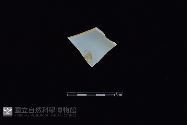 瓷片藏品圖，第2張