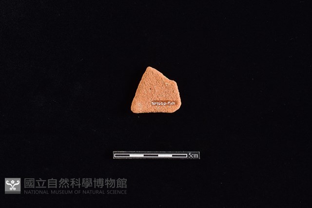 陶片藏品圖，第2張