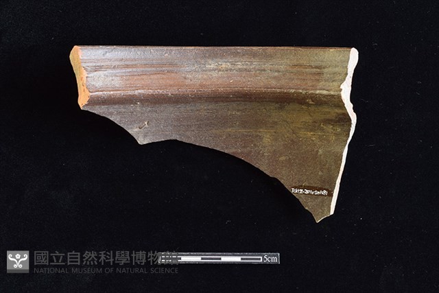 罐藏品圖，第2張