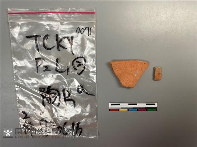 陶片藏品圖，第2張