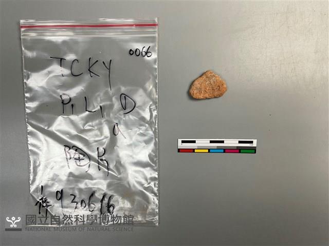 陶片藏品圖，第2張