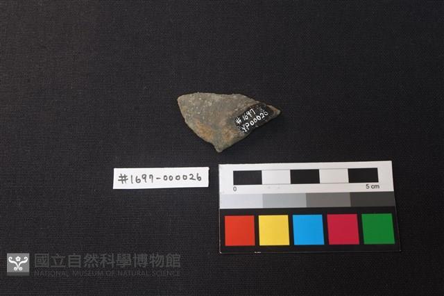 陶片藏品圖，第2張