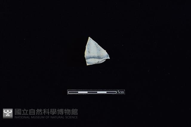 盤藏品圖，第2張