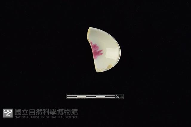 湯匙藏品圖，第2張