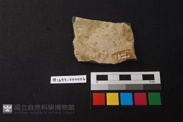 陶片藏品圖，第2張