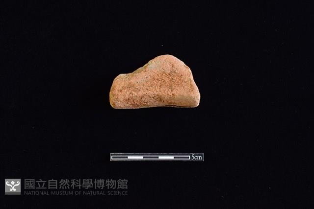 陶罐藏品圖，第2張