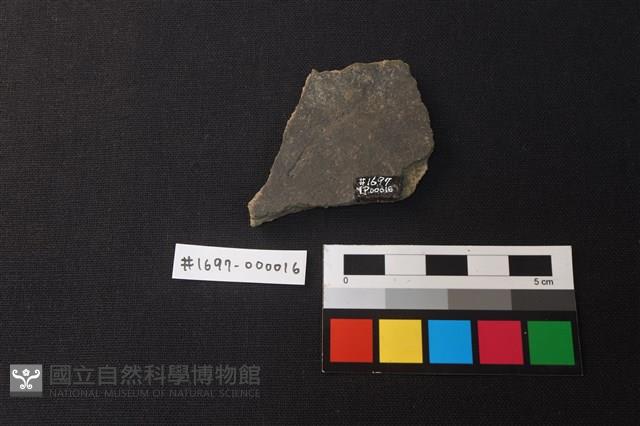 陶片藏品圖，第2張