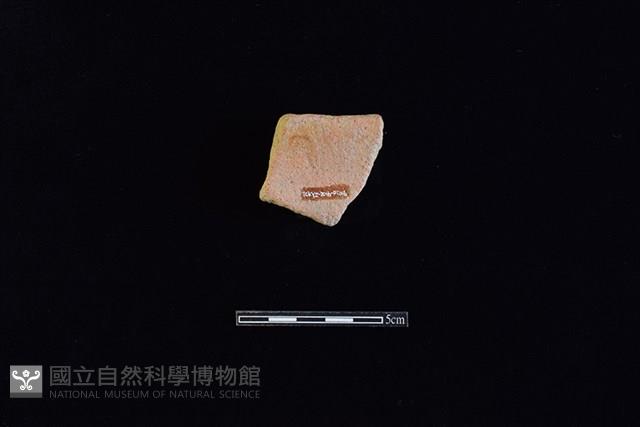 陶罐藏品圖，第2張