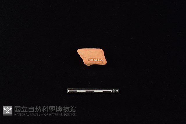陶片藏品圖，第2張