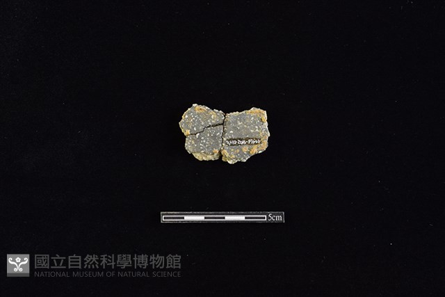 陶片藏品圖，第2張
