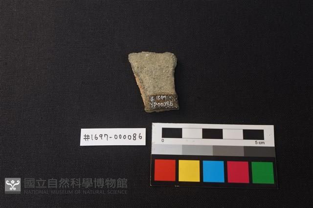 陶片藏品圖，第2張