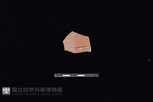 硬陶片藏品圖，第2張