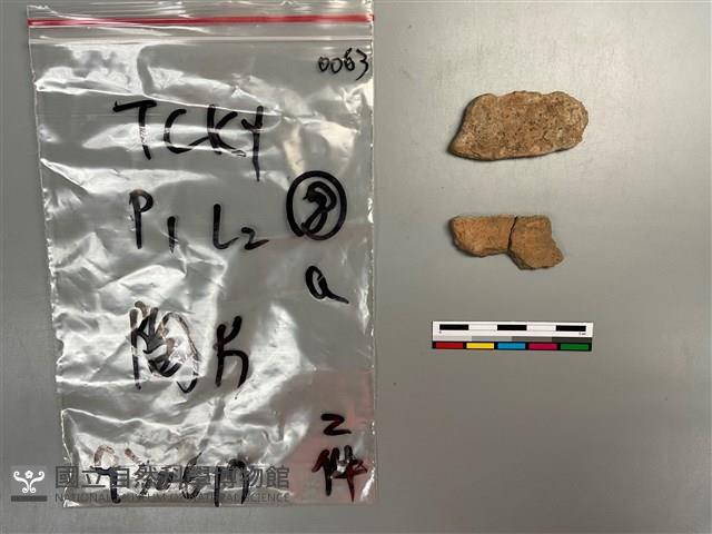 陶片藏品圖，第2張