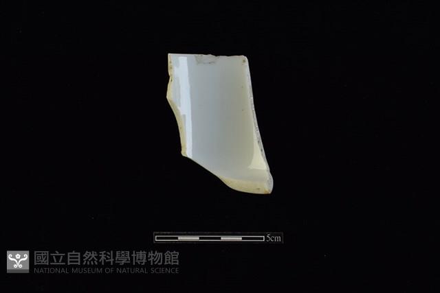 杯藏品圖，第2張