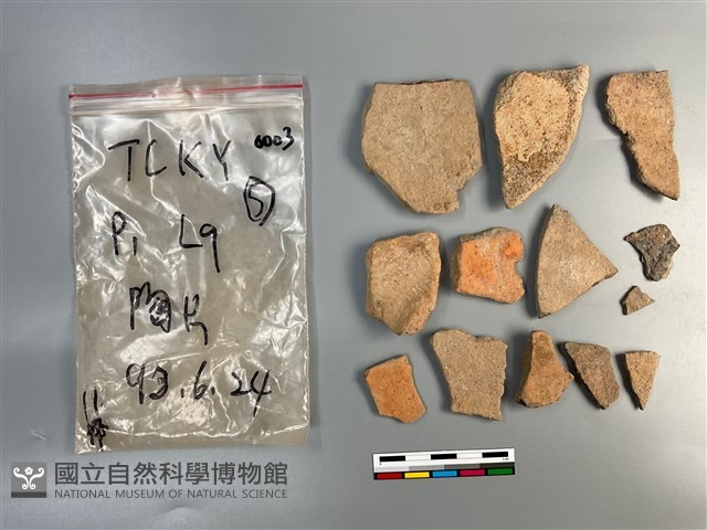 陶片藏品圖，第2張
