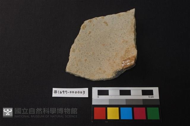 陶片藏品圖，第2張