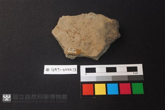 陶片藏品圖，第2張