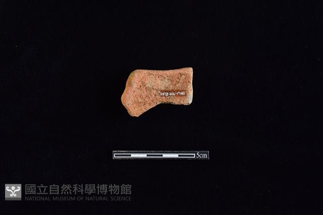 陶罐藏品圖，第2張