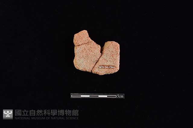 陶片藏品圖，第2張