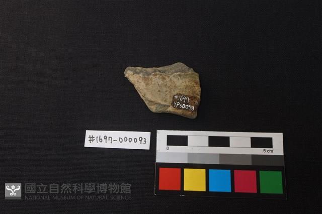 陶片藏品圖，第2張