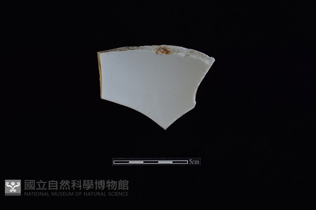 瓷片藏品圖，第2張
