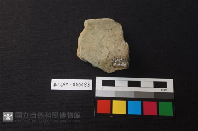 陶片藏品圖，第2張