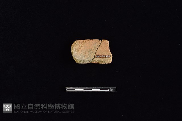 陶片藏品圖，第2張