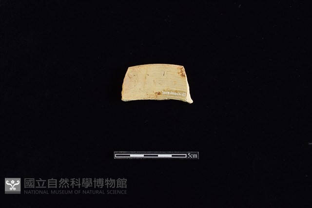 硬陶片藏品圖，第2張