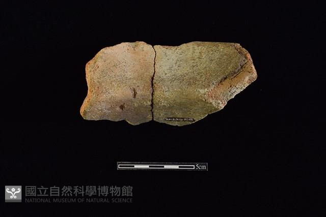 陶罐藏品圖，第2張