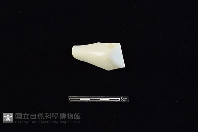 湯匙藏品圖，第2張