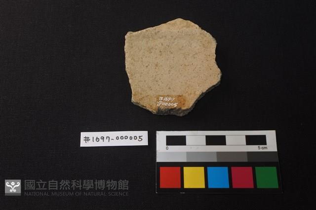 陶片藏品圖，第2張