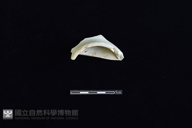 碗藏品圖，第2張