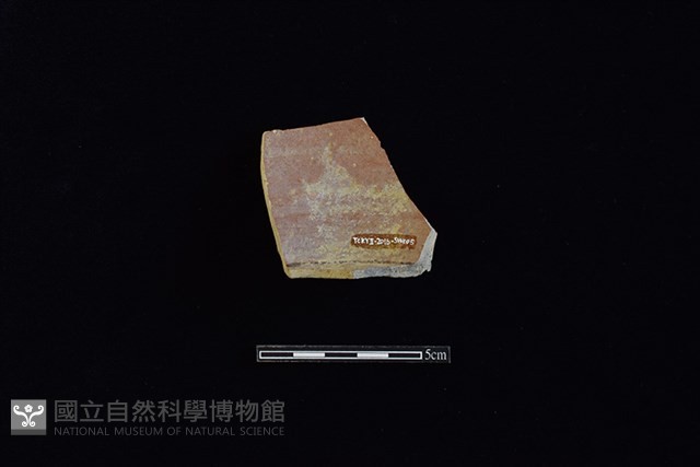 硬陶片藏品圖，第2張