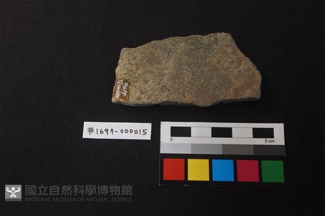 陶片藏品圖，第2張