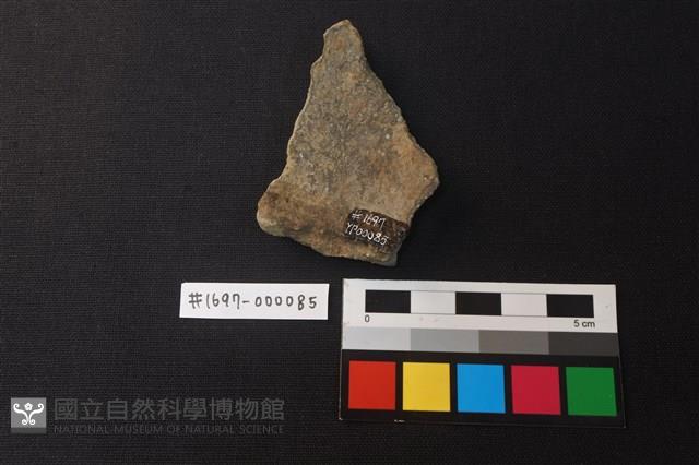 陶片藏品圖，第2張