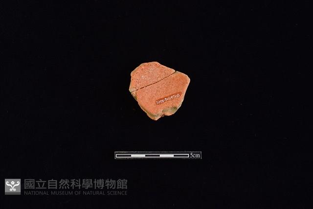 陶片藏品圖，第2張