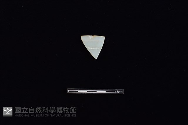 盤藏品圖，第2張
