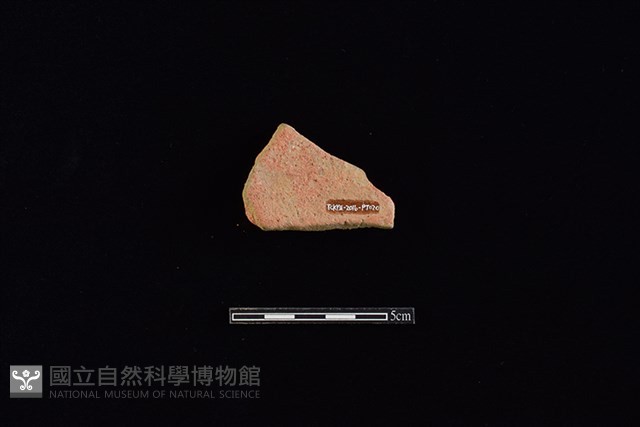 陶片藏品圖，第2張