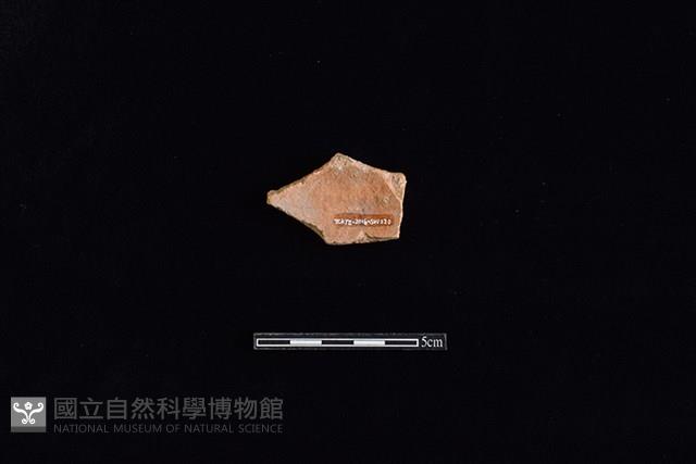 硬陶片藏品圖，第2張