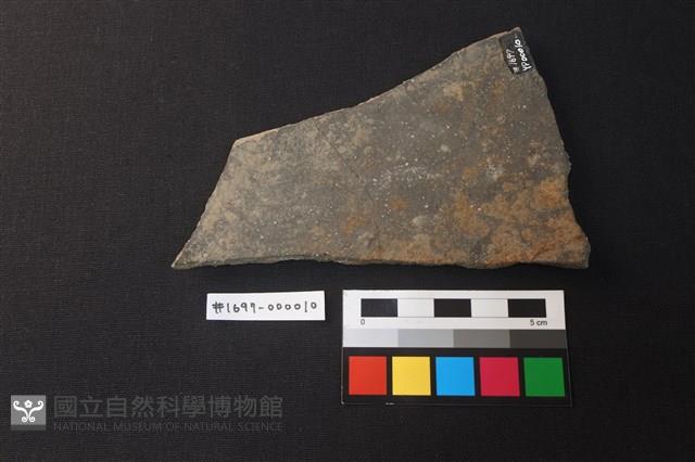 陶片藏品圖，第2張
