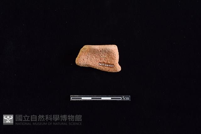 陶片藏品圖，第2張