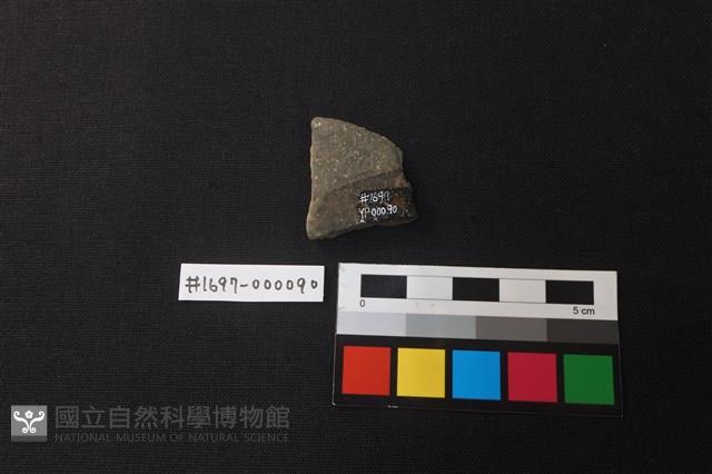 陶片藏品圖，第2張