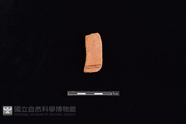 陶片藏品圖，第2張